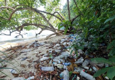 Italy Introduces Fines up to RM88,000 for Littering from Vehicle